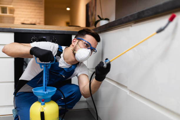 Pest Prevention Services in Viera West, FL
