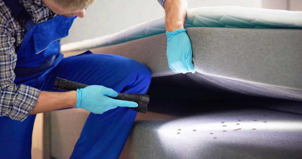 Best Emergency Pest Control  in Viera West, FL