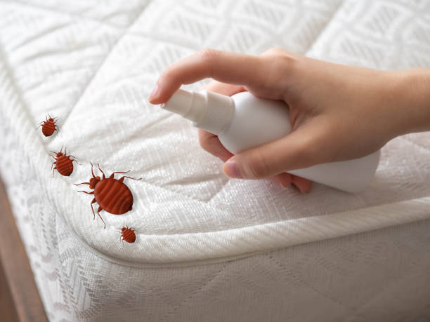 Best Bed Bug Extermination  in Viera West, FL